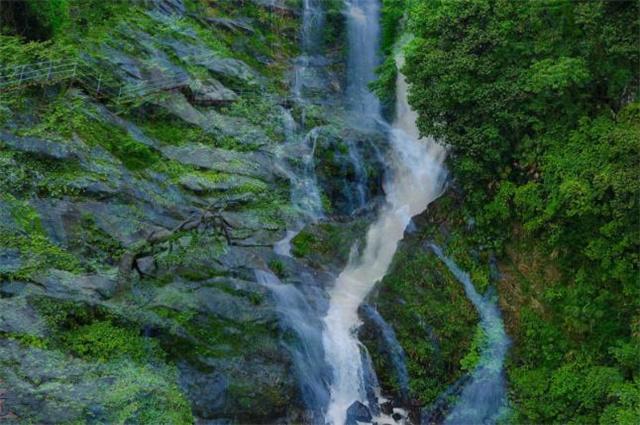 翻转吧，苹果虫